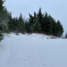 veer left near summit