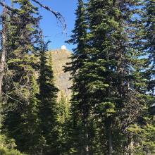 Lookout Tower at Summit