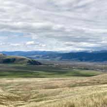 Low GrasslandTerrain