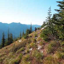 Rabbit trail on the slope between Bandera summit and Lil Bandera summit.