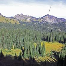 A view from approx 1/2 mile into the hike shows Palisades.  We hiked up to the saddle between Palisades and the peak to the left (Marcus Pk).  Hidden Lake is hiding below the rocky face of Palisades.