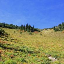 This view is from Hidden Lake- looking upwards to the top of the 6500 ft saddle