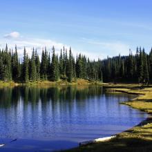 On the return hike... we stopped at Clover Lake- about 1.5 miles from the Trail Head.  It was a great Fall Day to be in the woods.