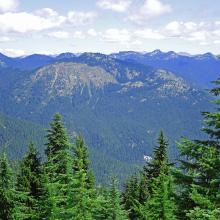 Shriner Pk photo taken from Wonderland Trail approx 6 miles west.
