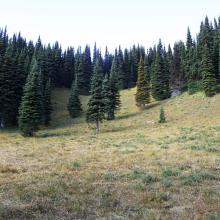 E-W Ridge meet N-S Ridge on Scarface