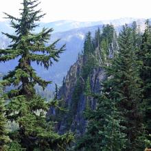 Scarface rocky face from summit