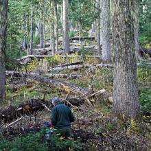 E-W Ridge to Saceface