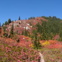 The Summit as seen from the trail
