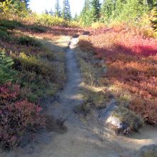 The Mt McCausland boot trail at it's start at the Pacific Crest Trail