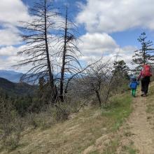 Single track on the way to Anderson Butte.