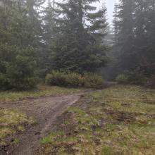 trail to north from summit