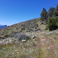 last climb to the summit