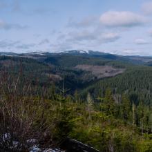 Views from the summit with trees and mountains