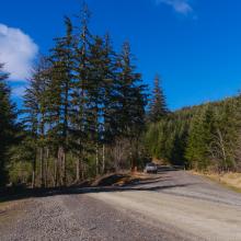 Google Maps tried to send me right. Keep straight on the open road. 