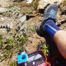 MTR4B with dog in background.