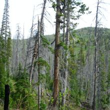 Driveway Butte from the trail