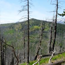 Driveway Butte from W7W/OK-159