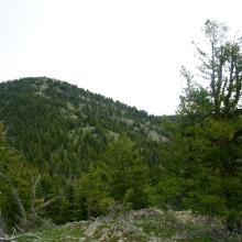 Fawn Pk from 2nd hill ascending the ridgeline