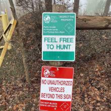 Feel Free to Hunt - For Summits Maybe?