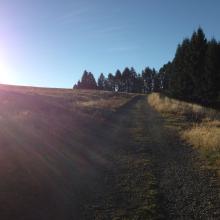 Another great SOTA morning