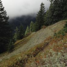 weather getting better now, beautiful meadows