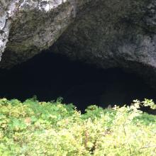 Looking up into Boca Cave