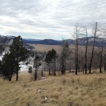 Beautiful, open terrain heading up, Valle caldera below