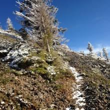 Nearing the summit it becomes rather rocky