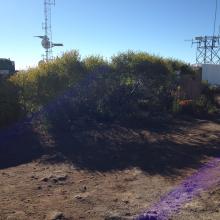 Beautiful (!) operating position, yes, next to a porta-potty
