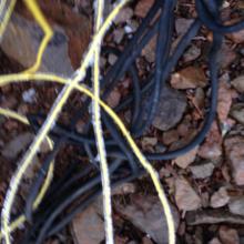 Ice on EFHW wire once I took it down, the mast was worse