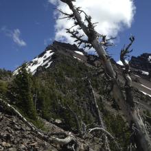 Looking up the northwest ridge towards the summit