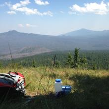 view from operating position