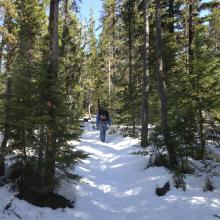 Starting out on trail 3595