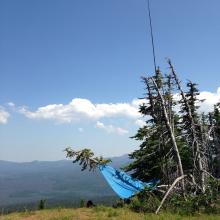 station with EFHW vertical