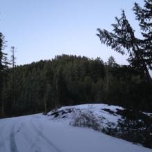 Outerson Summit from near saddle in NF2233