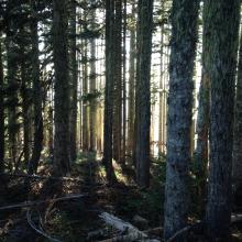 RF prison, or so I thought