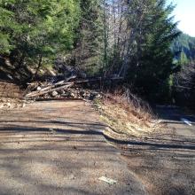 Park here, yeah, really