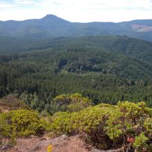 View from the summit