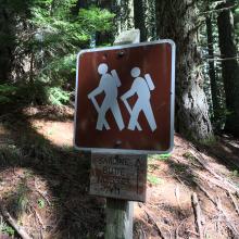 TH marker where over grown road meets the forest trail