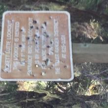 The standard gunshot sign