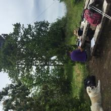 A nice operating position with the lookout behind