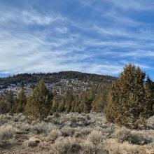 Ready for the hike up...