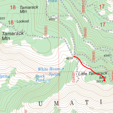 Genral path to summit from Forest Route 2407