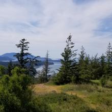 Guemes summit area and view - looking North
