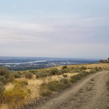 Summit area looking East