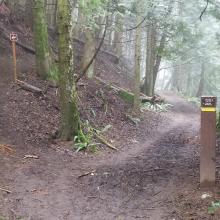 Turn left here on the Cedar Lake Overlook trail (sign marker on the right)