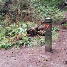 First trail marker - can go left, or straight is a little shorter