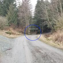 Stay straight on road in the middle, do not turn left or right