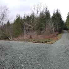 Looking at summit, go straight up this hill and then turn left to summit area