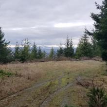 Summit and looking at activation area